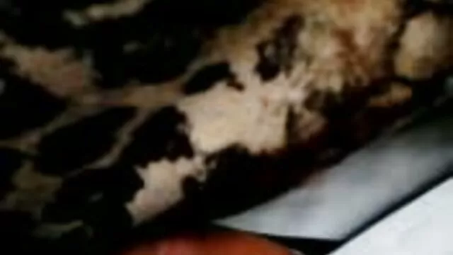 Putain film x rétro à part entière